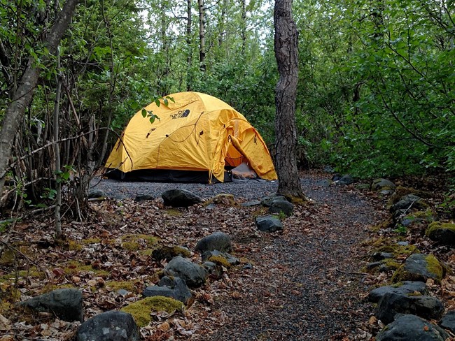 A tent on campground amongst trees