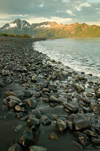 Beach at Pedersen Lagoon in Kenai Fjords National Park Beach at Pedersen Lagoon in Kenai Fjords National Park