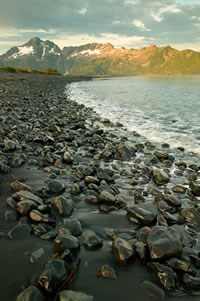 Beach at Pedersen Lagoon in Kenai Fjords National Park