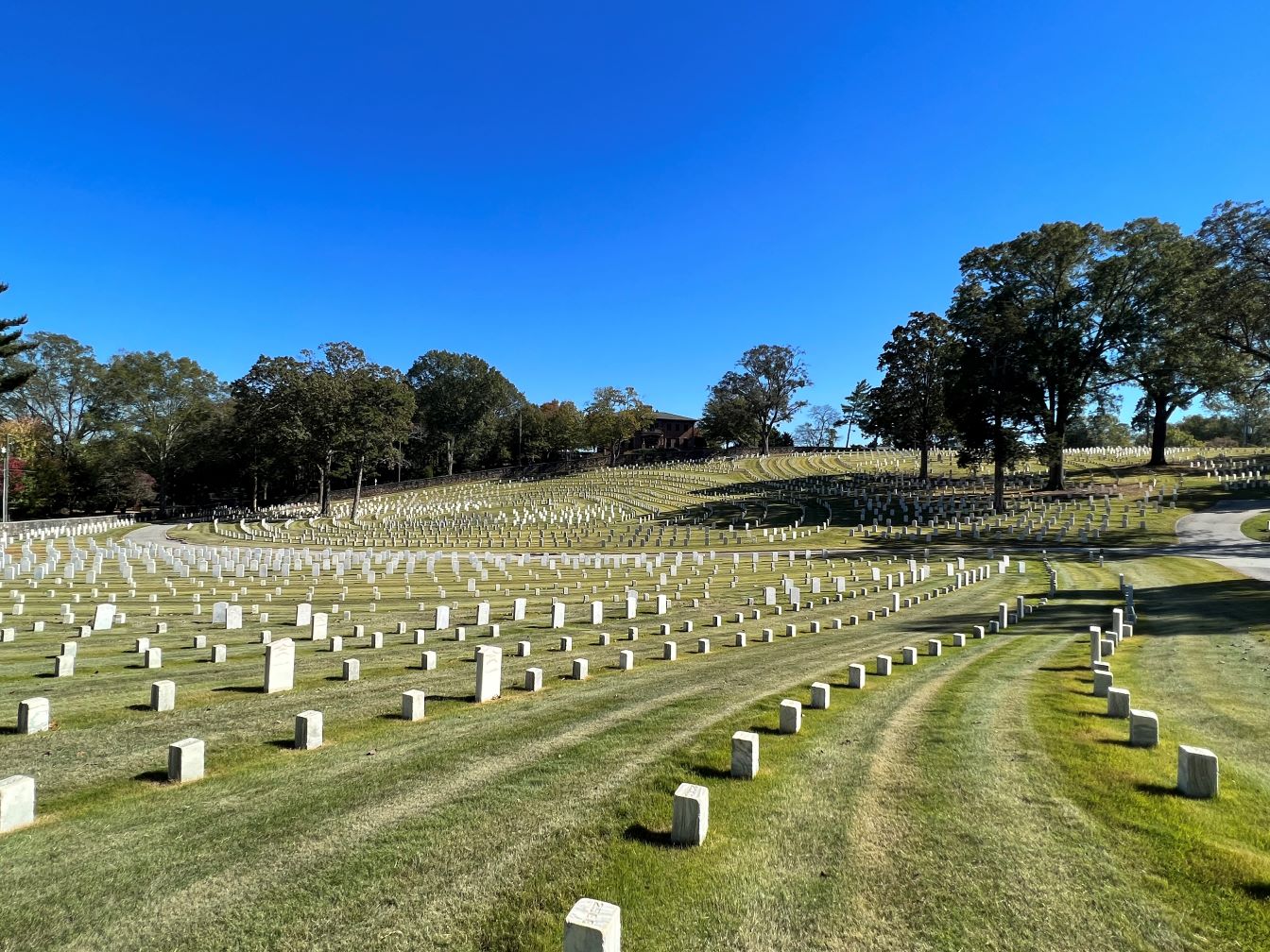 Sweeping view of cemetery with green grass, trees, and white headstones.