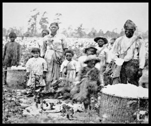 People in Line For Change: African Americans - Kennesaw Mountain ...