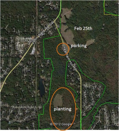 Area of KEMO Tree Planting