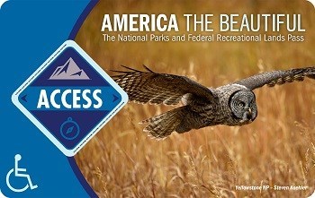 Owl flies over dried grass. Text: Access Pass America the Beautiful Lands Pass