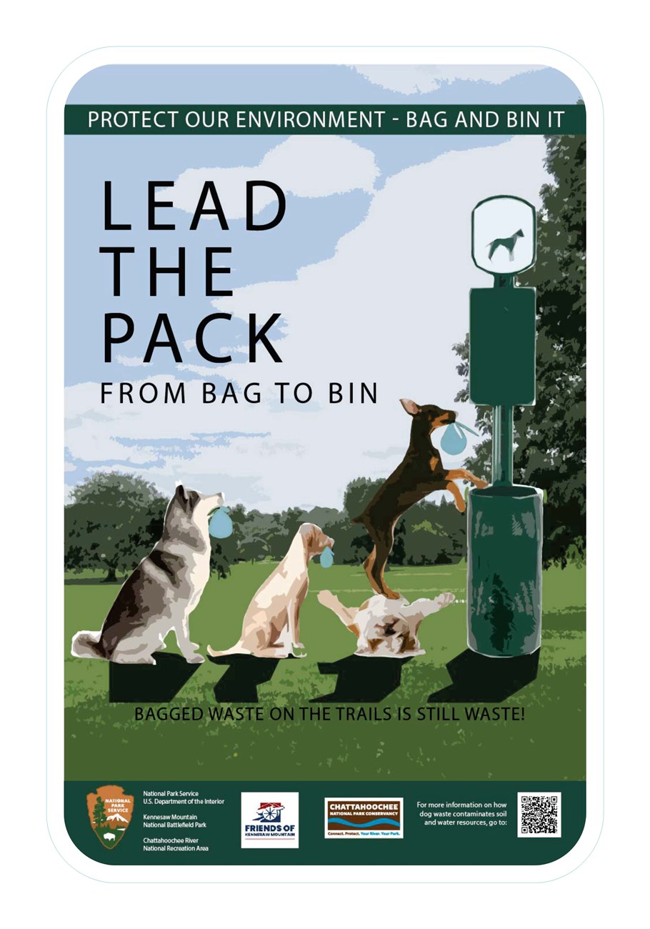 bag to bin graphic