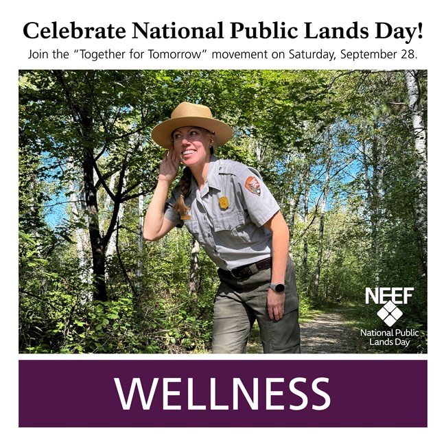 A park ranger stands on a trail with their hand near their ear as they lean in and look toward the trees.