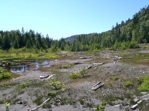 Open area surrounded by a forest and a cliff escarpment.