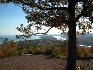 Tree in foreground, overlooking a town from the side of a ridge.