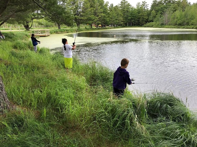 3 children standing in tall grass, fishing in a small pond. Green trees in background.