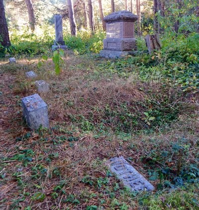 A collection of different sized grave markers in the forest.