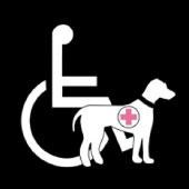 Assistive_Animal