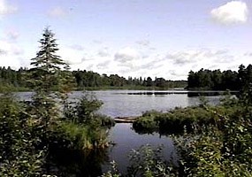 Numerous lakes enhance the scenery and recreation in the Ottawa National Forest. Click here to visit their website.