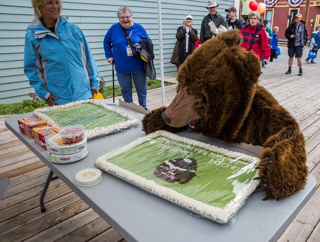 A person in a bear costume pretends to eat cake.