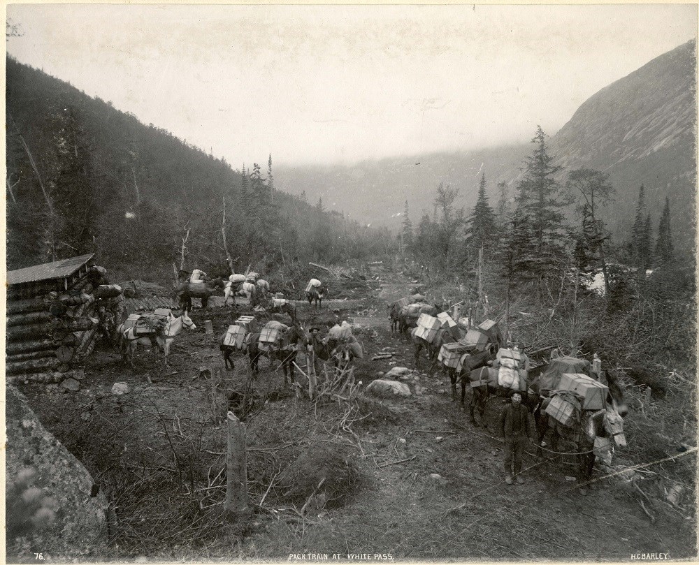 men and donkeys on road black and white