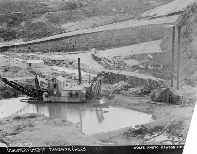 A gold dredge floats on a pond, surrounded by mine tailings and massive piles of fuel wood.