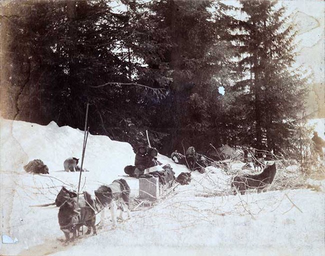 People and dogs attached to a sled rest in the snow