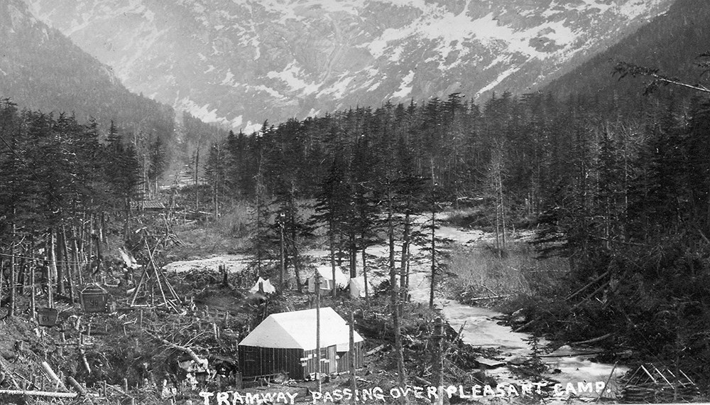 Black and white image of buildings among the trees along a river