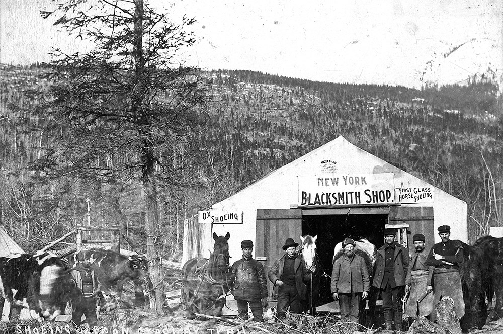 Black and white historic photo of men and horses in front of a tent with main sign reading "New York Blacksmith Shop."