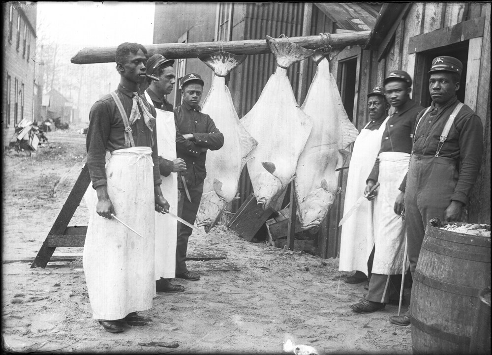 Black and white photo of six men standing in front of three large halibut Black and white photo of six men standing in front of three large halibut