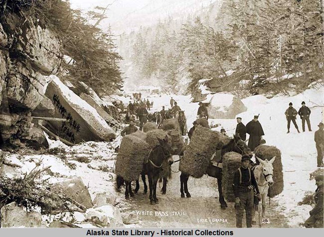 men with horses carrying bales of hay