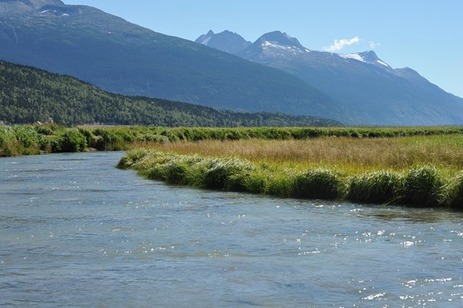 A river flowing through grasses with a mountain backdrop.