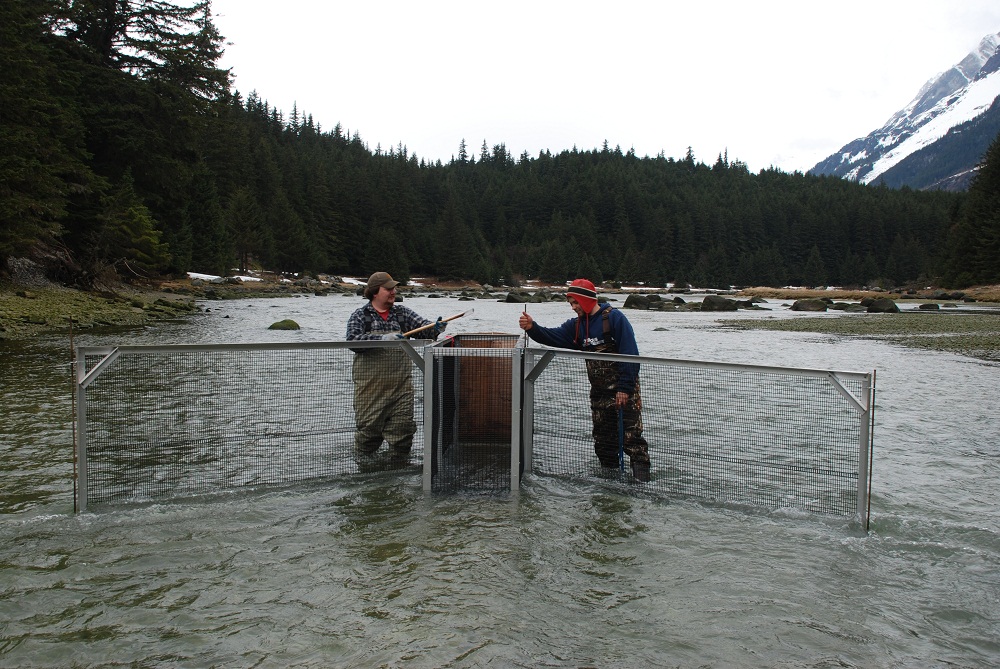 To people stand with metal fencing in a river