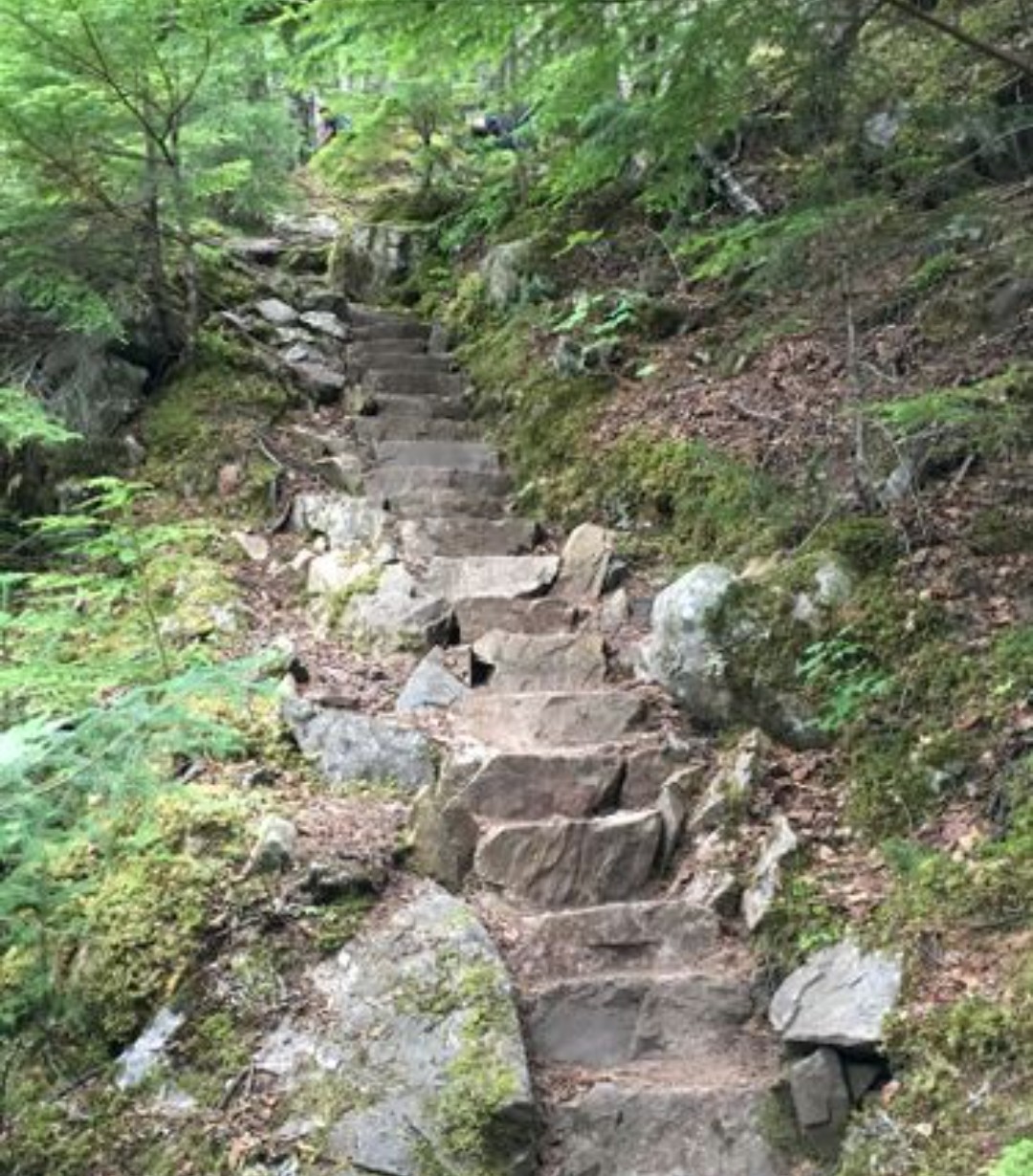 Screenshot_20230423-161623 stone stairs ascending a hill