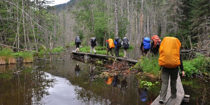 Backpackers walk along a boardwalk above a pond in a natural setting.