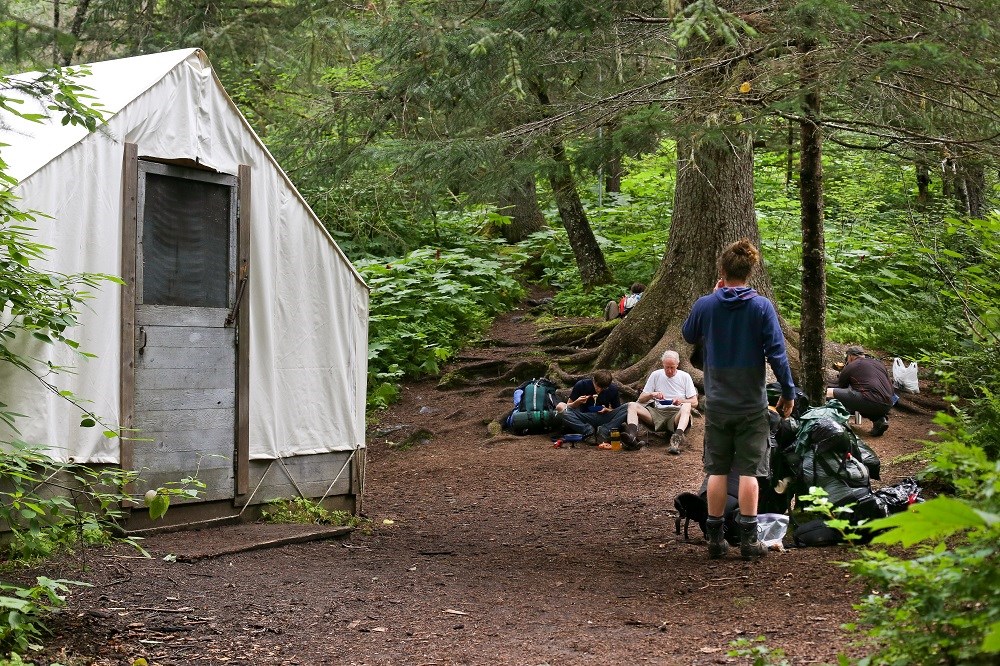 White tent structure and people sitting at base of tree White tent structure and people sitting at base of tree
