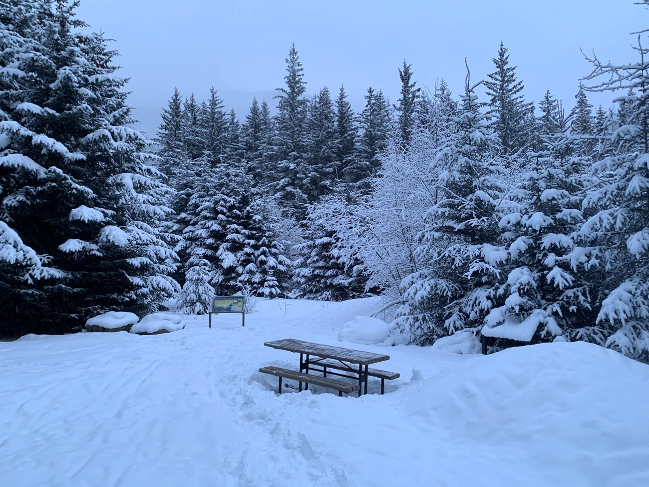 Dyea Townsite winter A snowy forest scene with a picnic table covered in snow and an uncovered wayside sign.