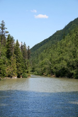 Sunny view of narrow lake surrounded by trees.