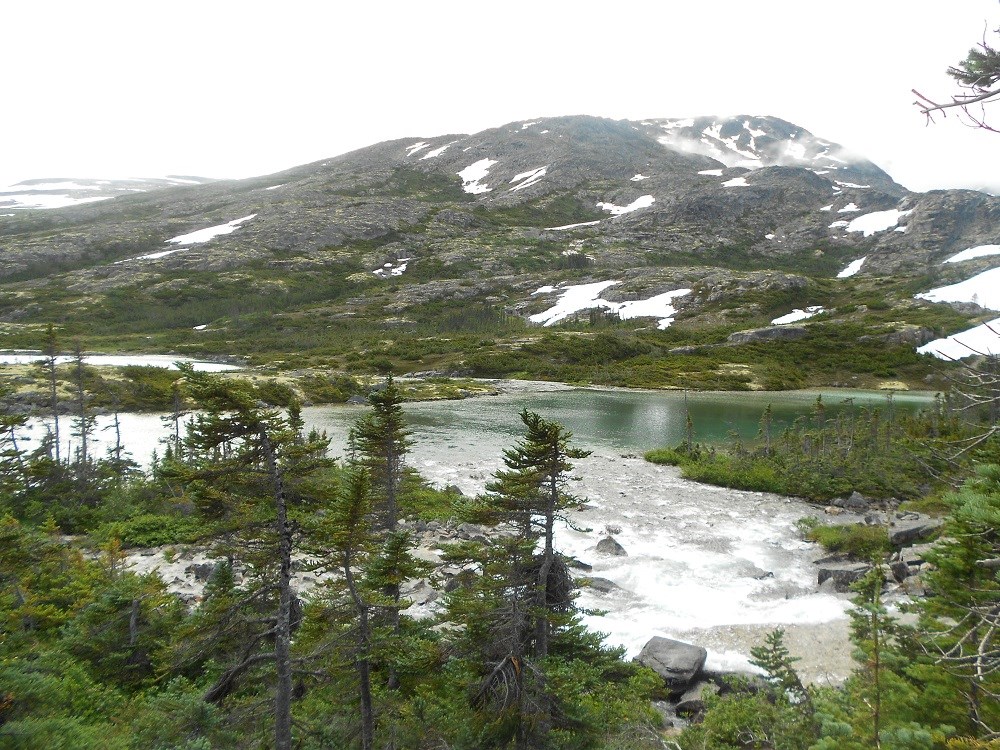 View through trees to a lake and mountains