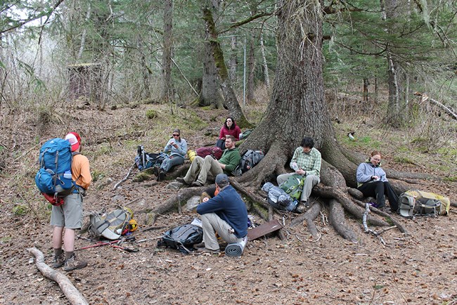 Six people sit on tree routes and talk to a standing backpacker