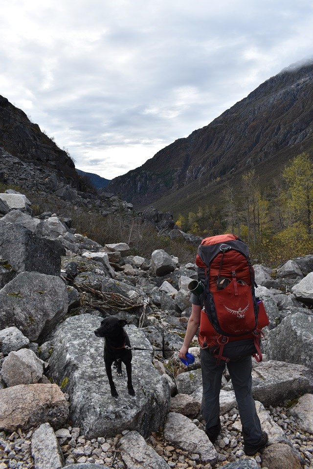 Back view of hiker taking a break with a leashed dog companion.