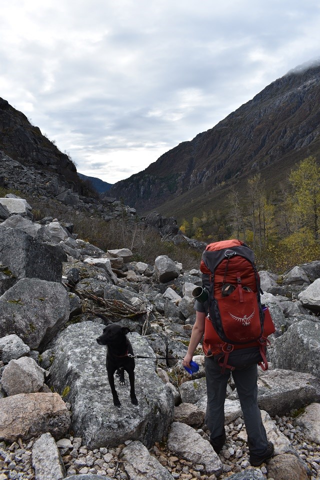 lt= Back view of hiker taking a break with a leashed dog companion.