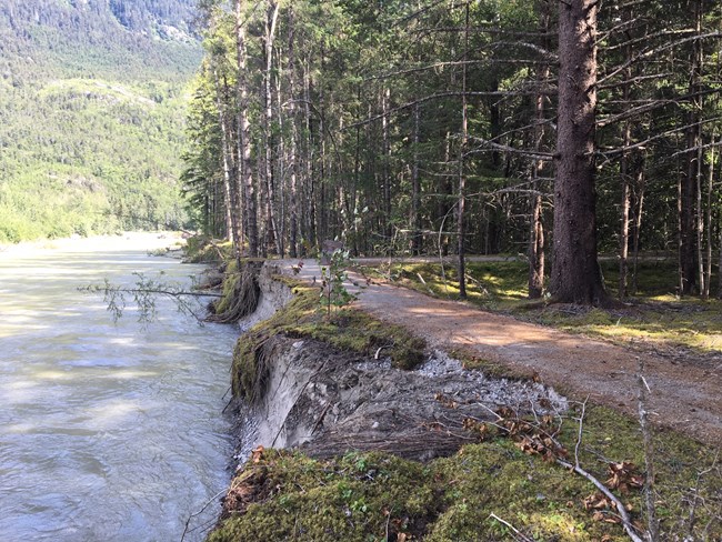 a forest trail hangs on the edge of a riverbank