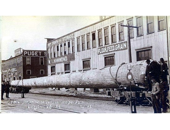 A historical photo of an enormous tree trunk on a rail car