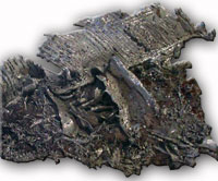 native silver