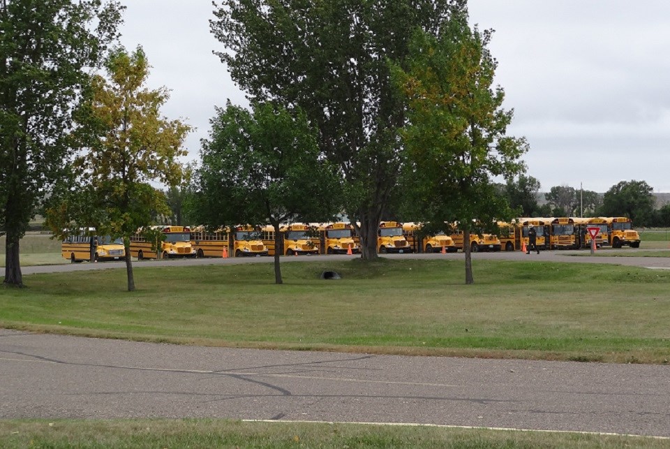 Ranger walks in front of 12 school buses lined up on the grass near parking lot.