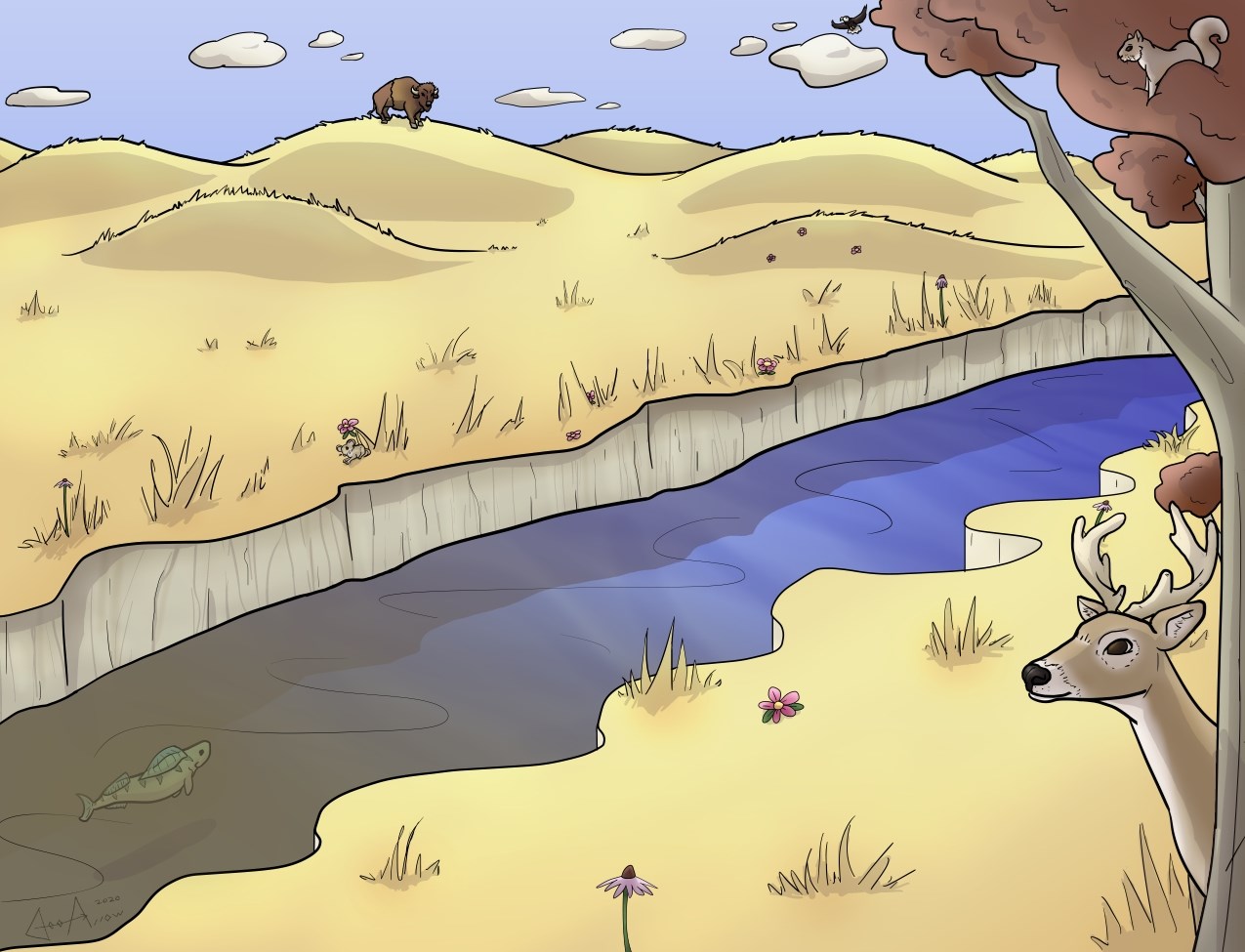 Illustration of a grassy field, river, and trees with a walleye, field mouse, bison, eagle, squirrel, and deer hidden in the image.