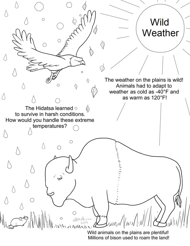 A coloring page about the extreme weathers on the plains with sun, rain, snow, and leaves falling on an eagle, bison, and mouse.