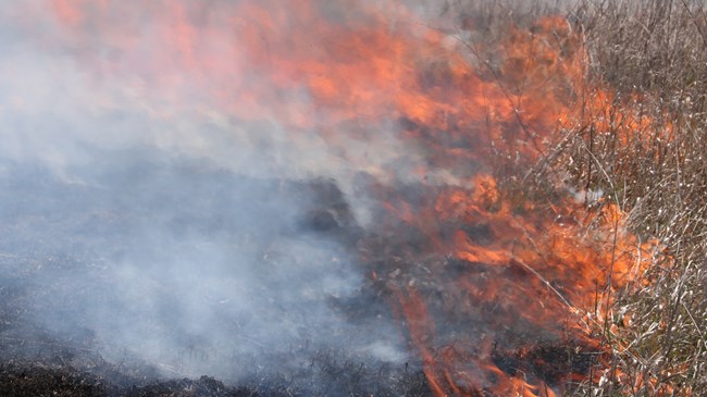 Fire spreading on prairie