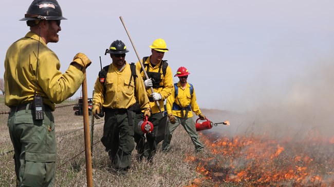 Four firefighters beside a burning field.