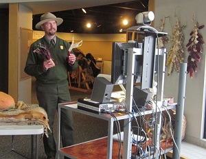 Distance Learning Male ranger holds dried red corn in the museum in front of a video camera and tv screen