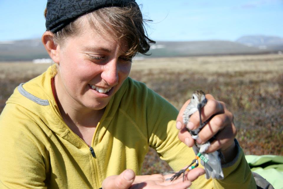 CTN_Dunlin CTN_Dunlin