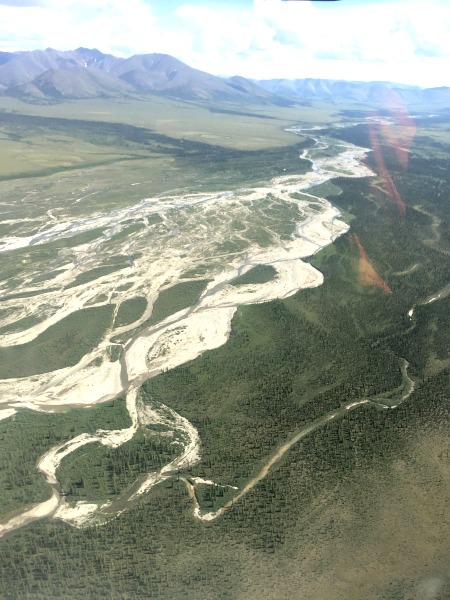 river bed surrounded by trees and mountains