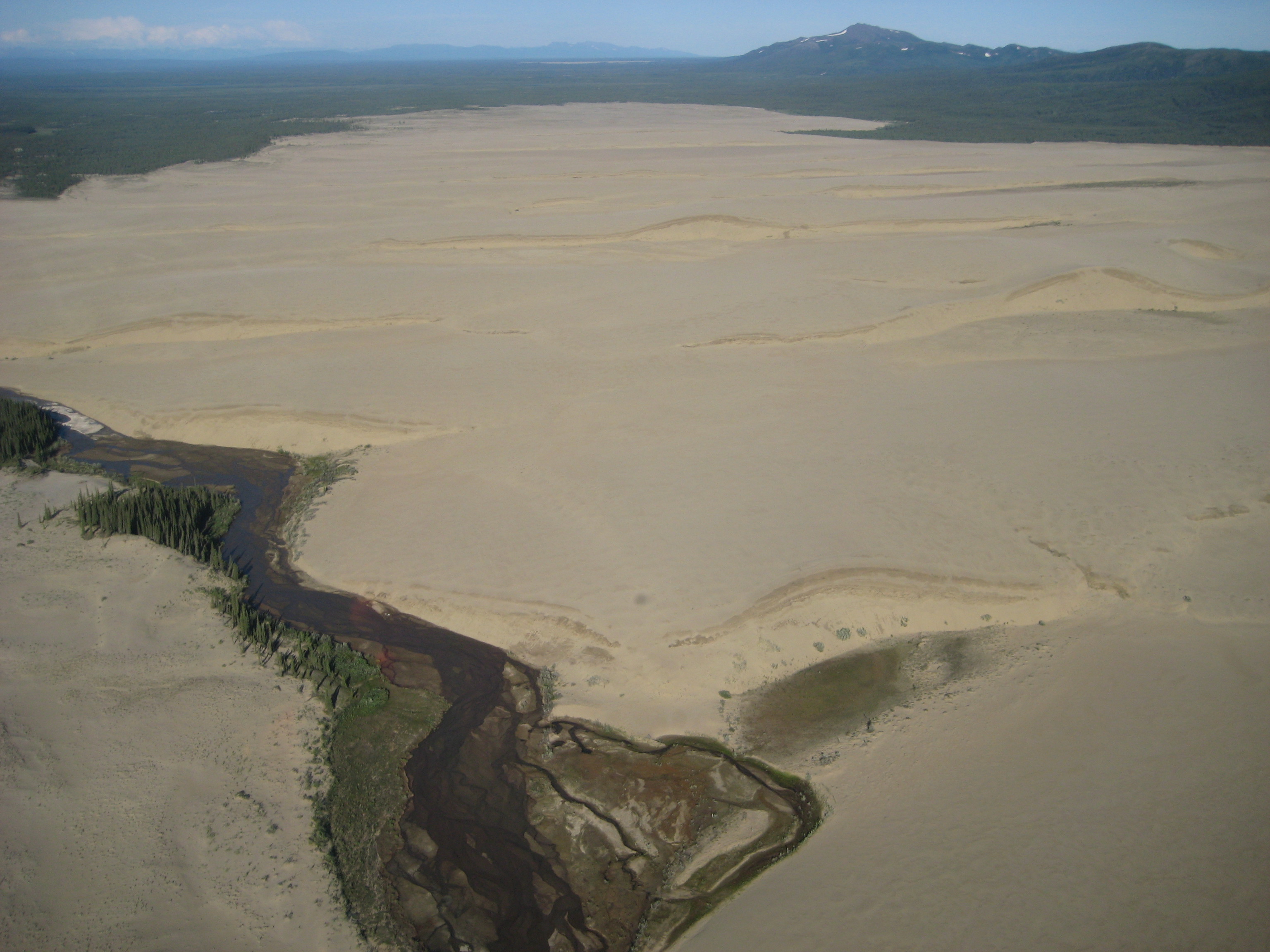 Great Kobuk Sand Dunes