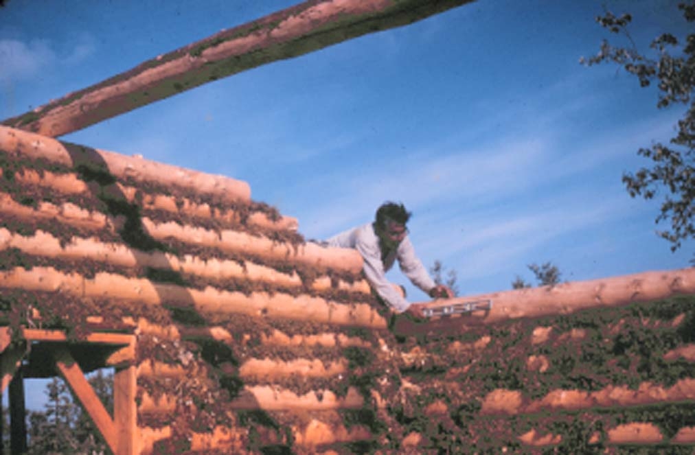 Giddings Cabin under construction