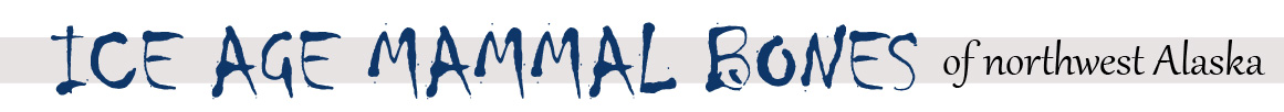 IAMB_TitleGraphic IAMB_TitleGraphic
