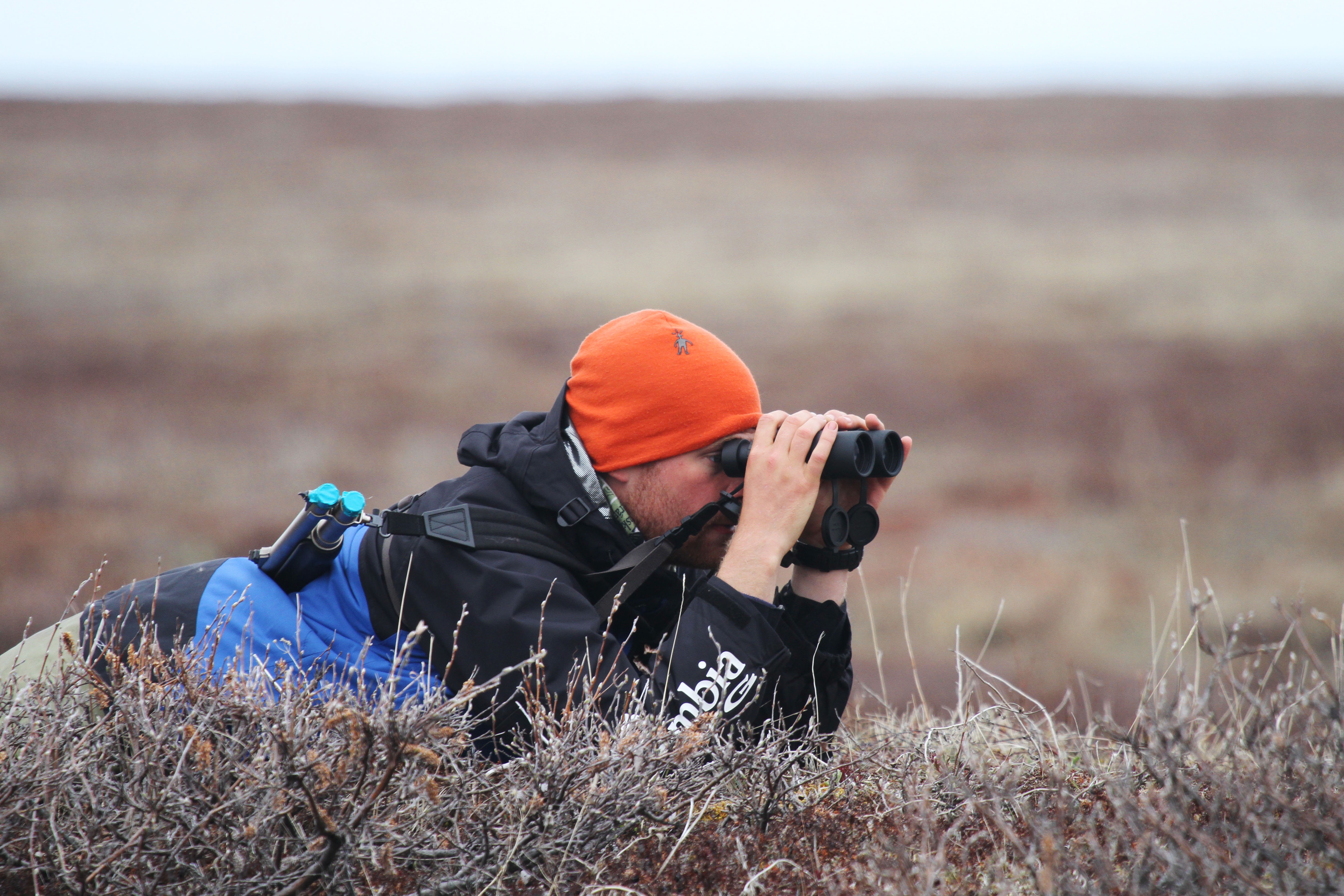 Nest Searcher