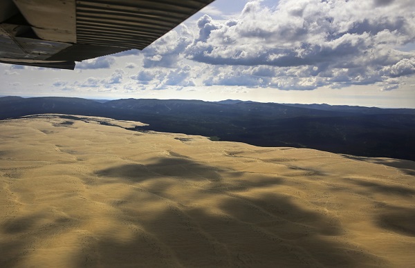 sand dunes surrounded by forest with plane wing in the corner